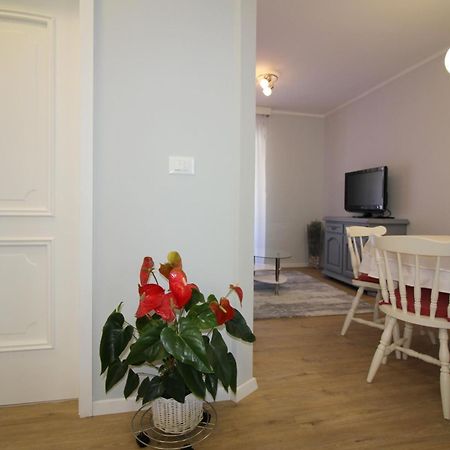 Apartments Tancel 포레치 객실 사진